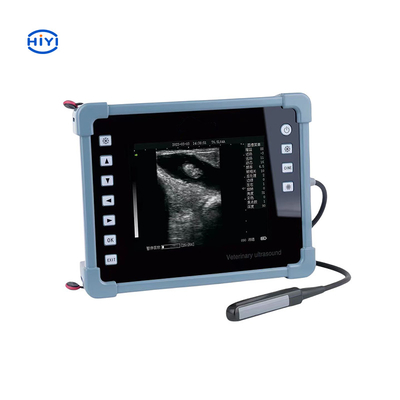 HiYi Veterinary Ultrasound CHY8 Professional Digital B-Ultrasound Diagnostic Instrument For Cattle Goat Pig Horse Dog