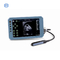 Hiyi Veterinary Ultrasound THY6 Upscale Digital B-Ultrasound Diagnostic Instrument For Cattle Horse Camel Sheep Pigs