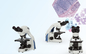 Compound Eye Lighting System Biology Lab Microscope High Intensity