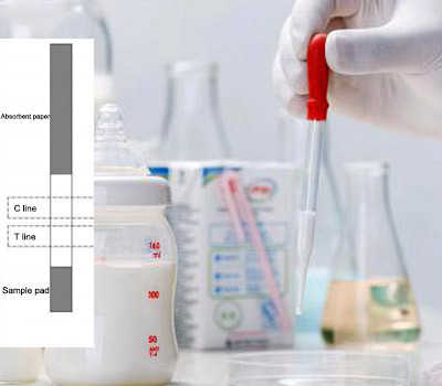 2-8 ℃ Raw Milk Quinolone Antibiotic Test Strips Of Detection Easy Use