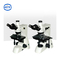 XTL-16 Series Reflection Metallographic Microscope Equipped With WF10X Large Eyepiece